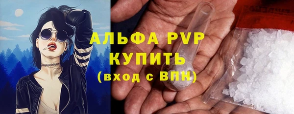 СК Ростов