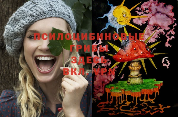 прущий лед Алексеевка
