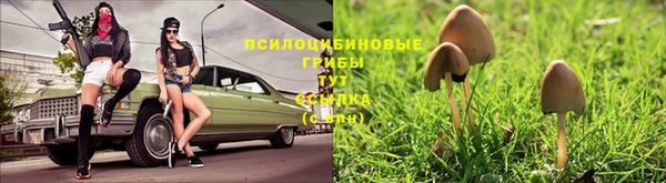 кокаин Алзамай
